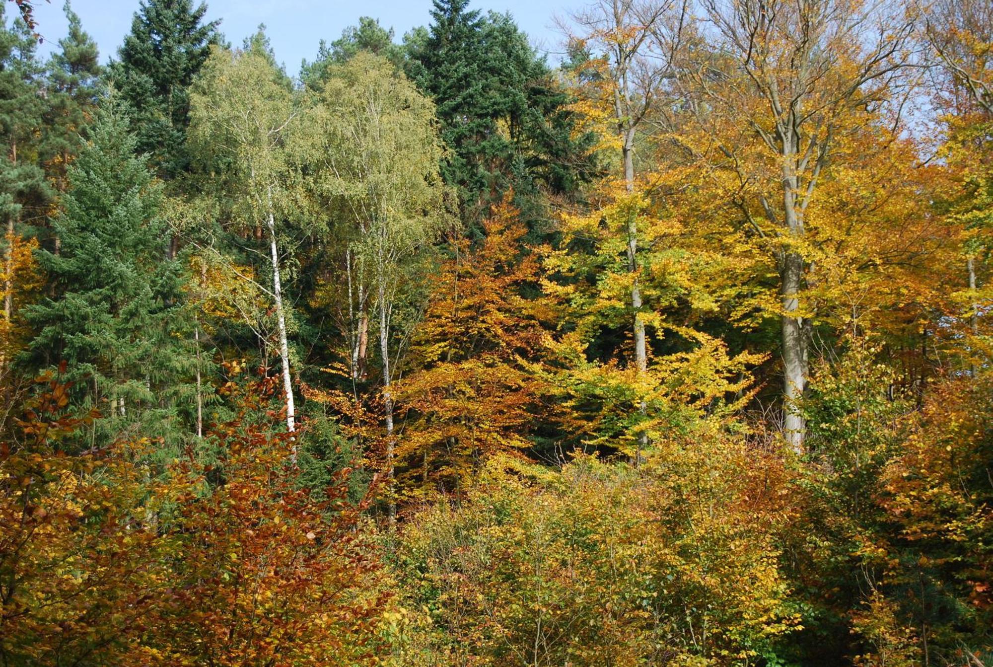 Osrodek Wypoczynkowy Laguna Lubniewice Luaran gambar
